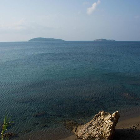 Aphrodite Skiathos Megali Ammos  Exteriér fotografie