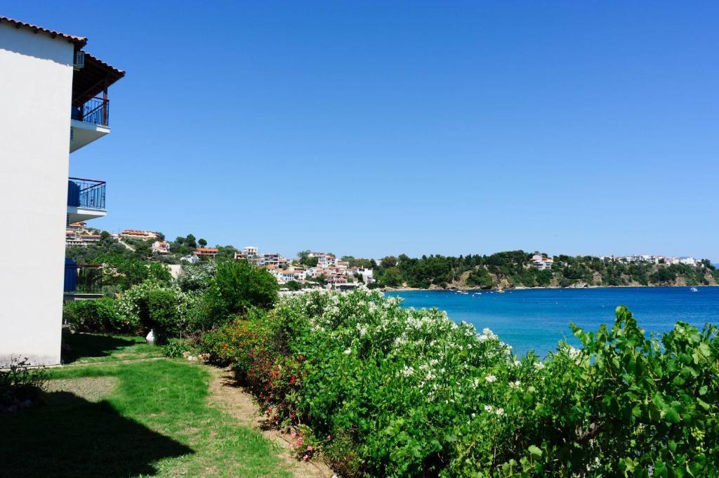 Aphrodite Skiathos Megali Ammos  Exteriér fotografie