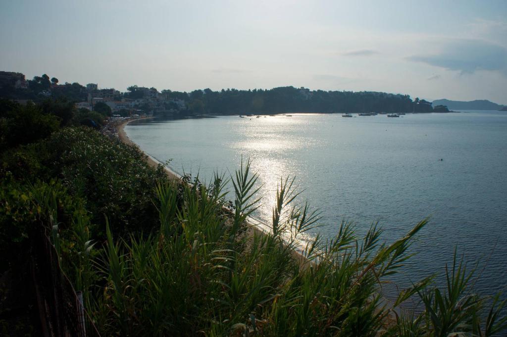 Aphrodite Skiathos Megali Ammos  Exteriér fotografie