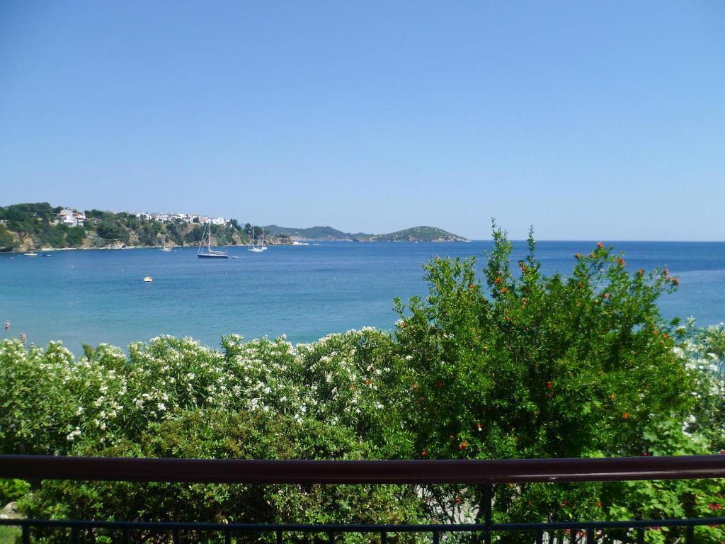 Aphrodite Skiathos Megali Ammos  Exteriér fotografie
