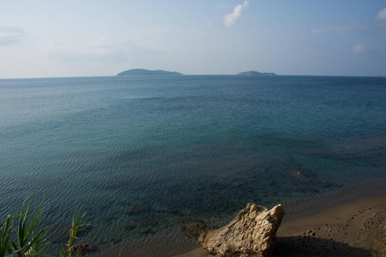 Aphrodite Skiathos Megali Ammos  Exteriér fotografie